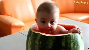 吃瓜的宝贝全集,揭秘娱乐圈背后的秘密与真相