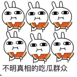 吃瓜加中括号,揭秘幕后真相